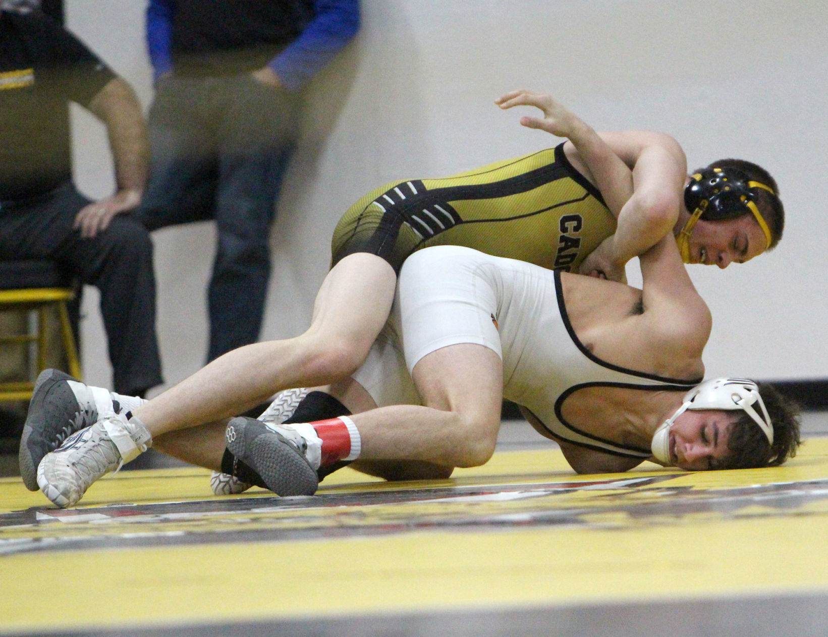 Division 3 Wrestling Regional at Cadott 2-15-20